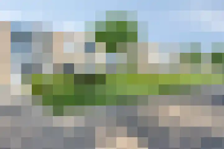 Thorbeckeplantsoen 26 's-Hertogenbosch thumbnail 7