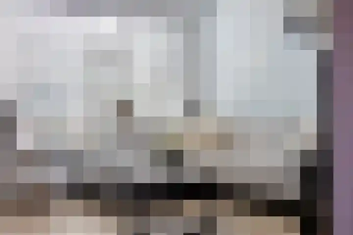 Thorbeckeplantsoen 48 's-Hertogenbosch thumbnail 4