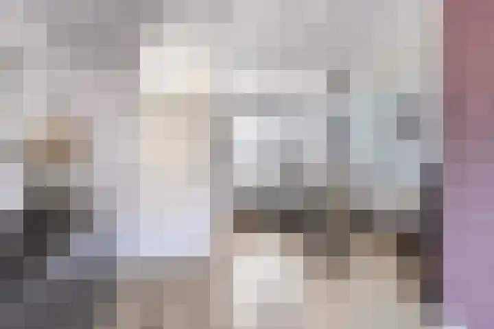 Thorbeckeplantsoen 48 's-Hertogenbosch thumbnail 6