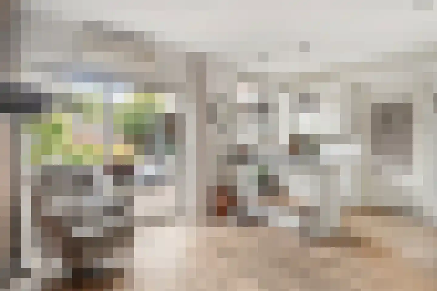 Thorbeckeplein 12 Zaltbommel thumbnail 16