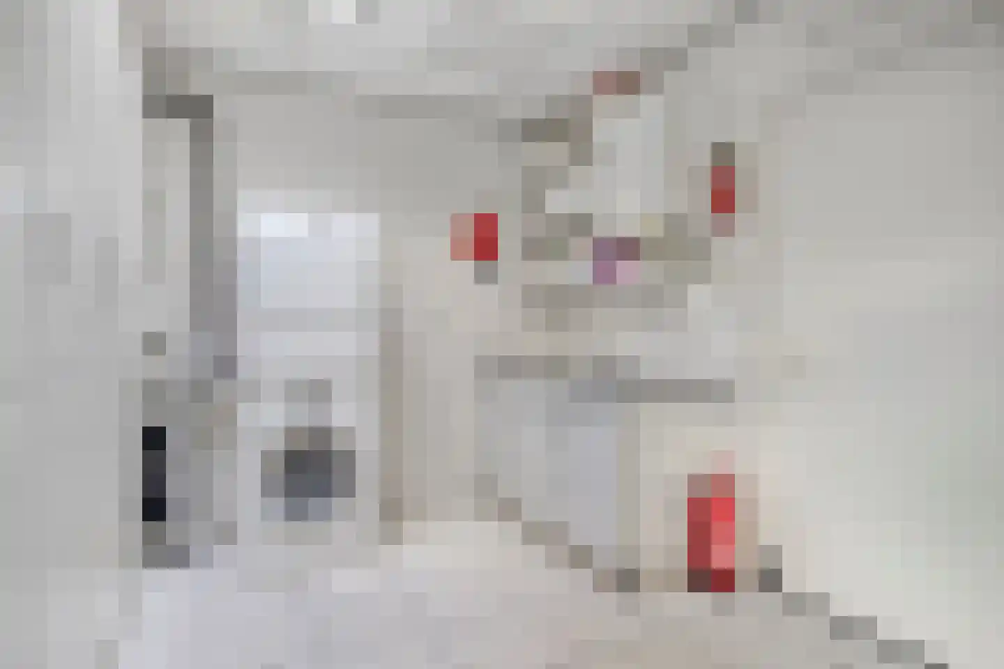 Thorbeckeplein 12 Zaltbommel thumbnail 23