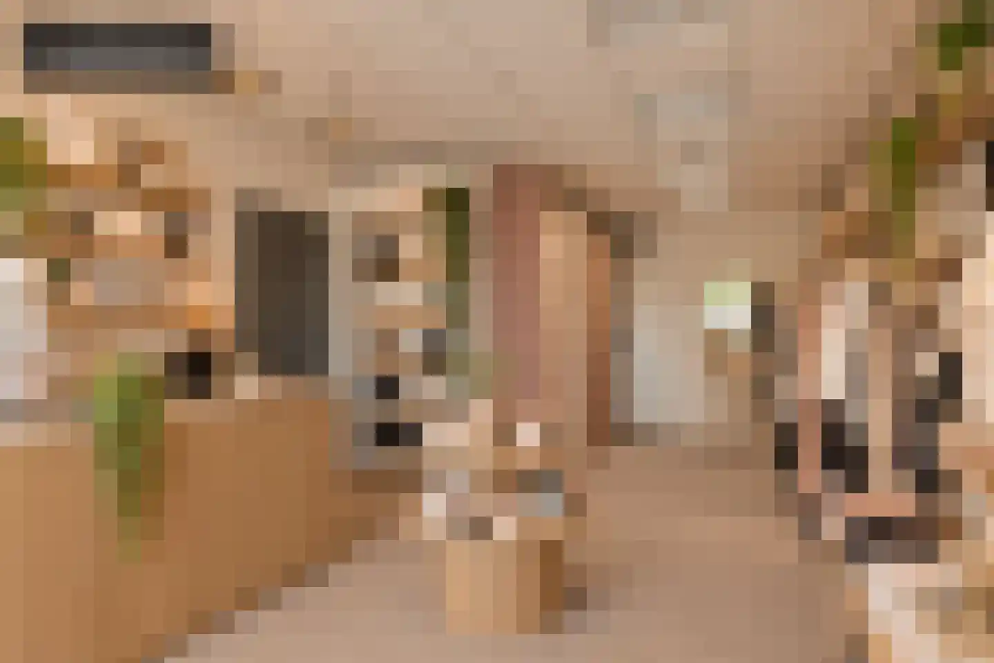Thorbeckeplein 12 Zaltbommel thumbnail 38