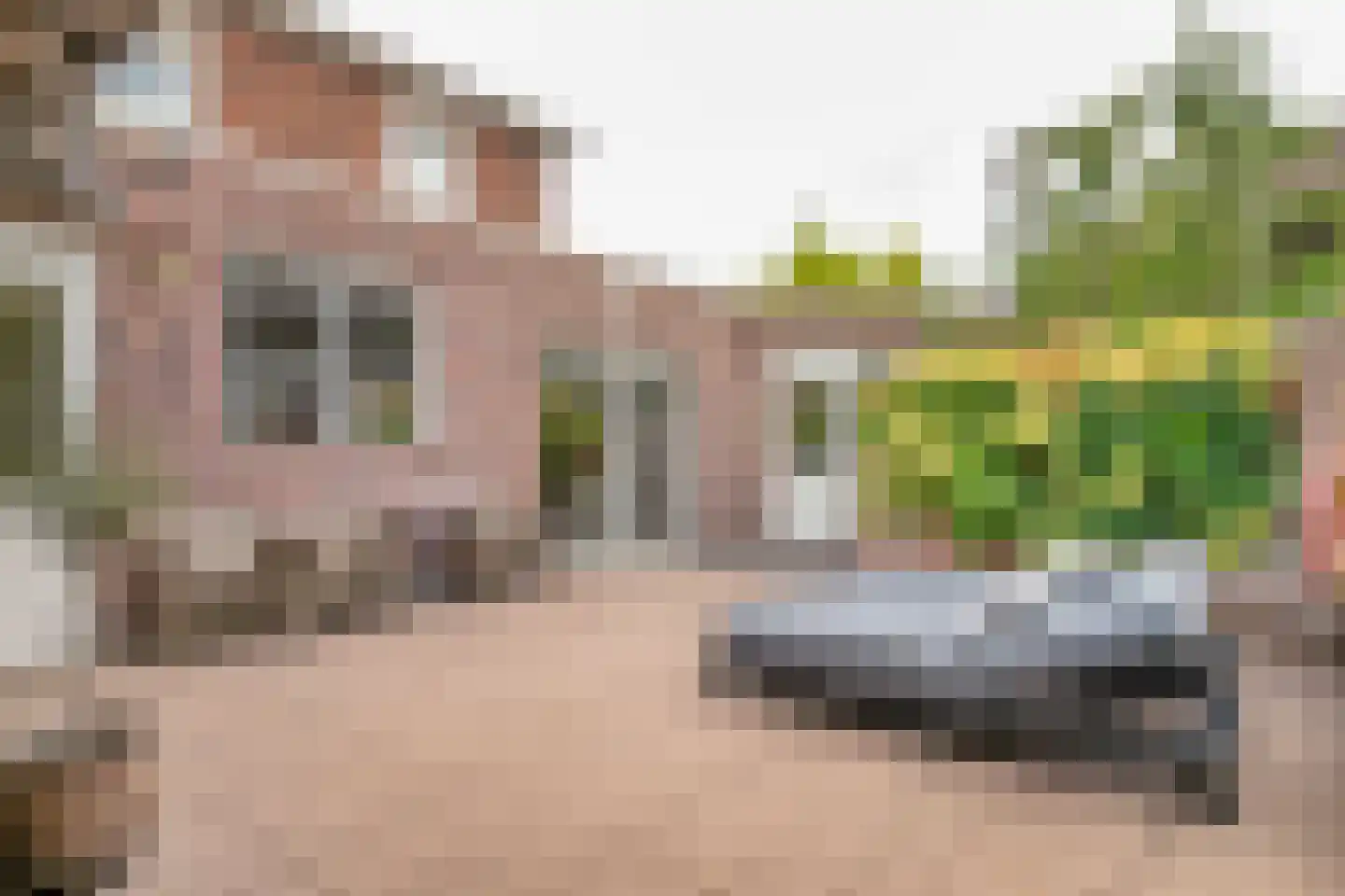 Thorbeckeplein 12 Zaltbommel thumbnail 42