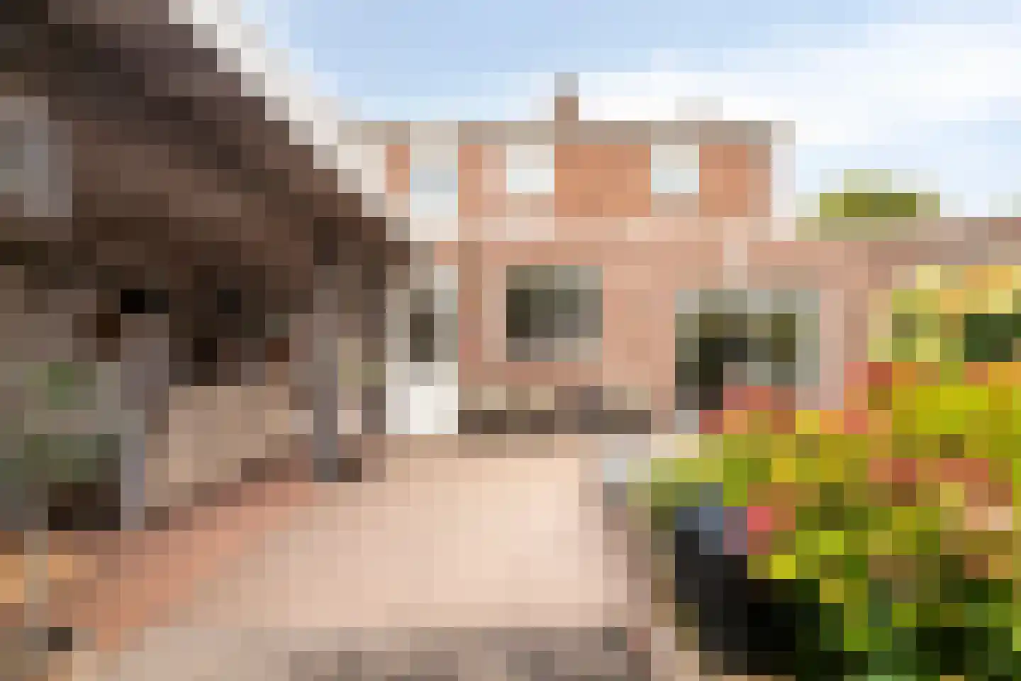 Thorbeckeplein 12 Zaltbommel thumbnail 43