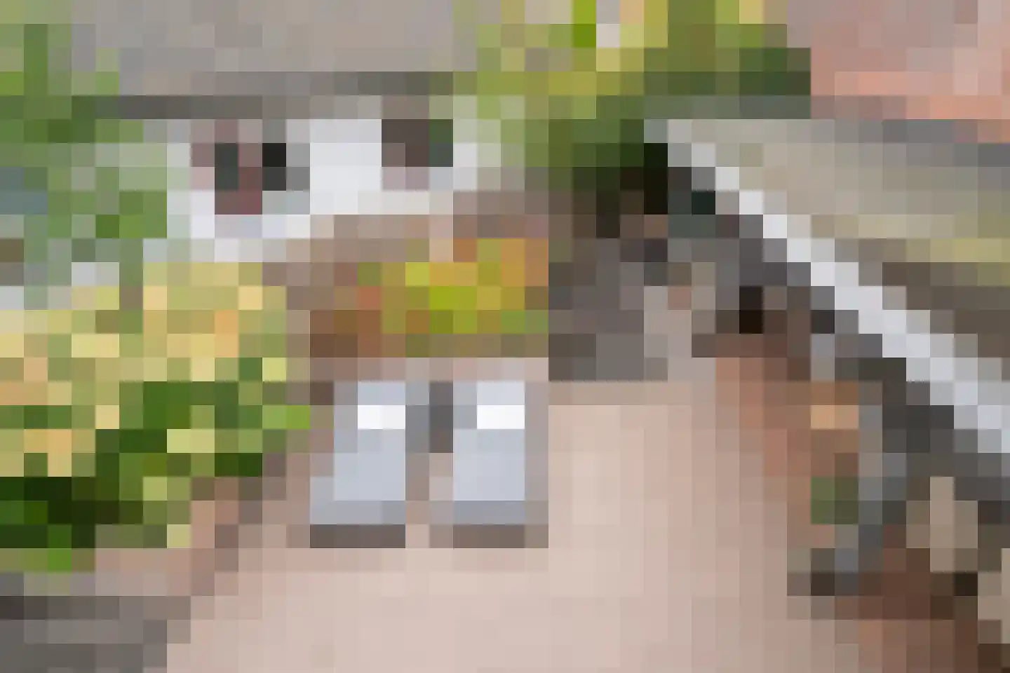 Thorbeckeplein 12 Zaltbommel thumbnail 44
