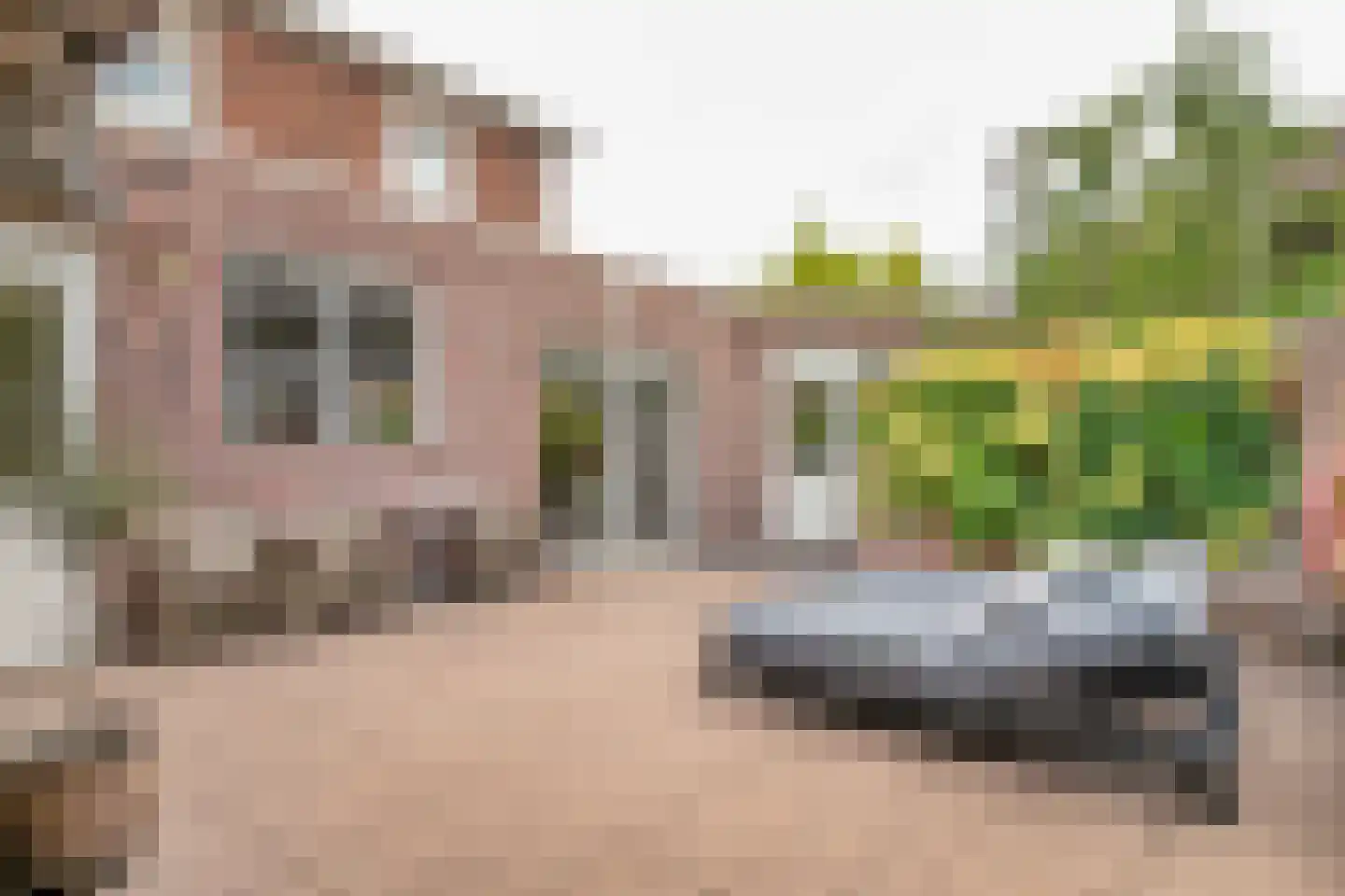 Thorbeckeplein 12 Zaltbommel thumbnail 45