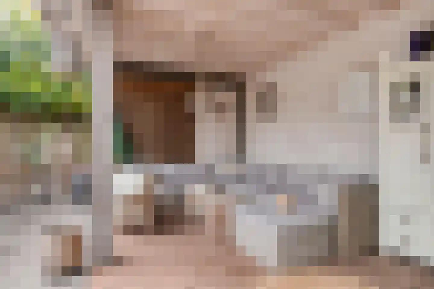 Thorbeckeplein 12 Zaltbommel thumbnail 46