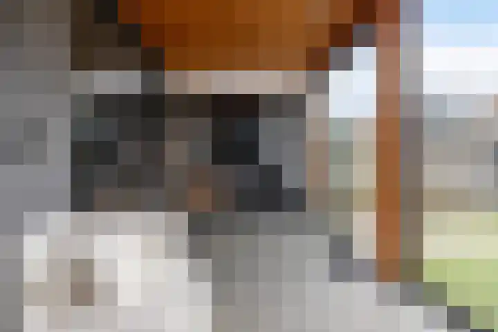 Thorbeckeplein 15 Moordrecht thumbnail 27
