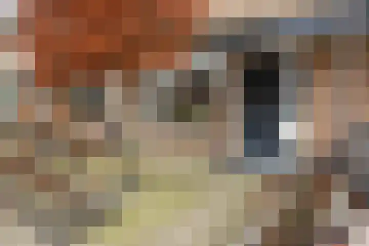 Thorbeckeplein 15 Moordrecht thumbnail 6