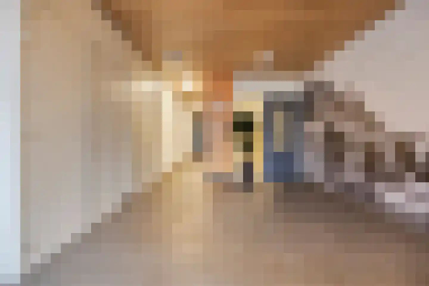 Thorbeckeplein 21 Alphen aan den Rijn thumbnail 9