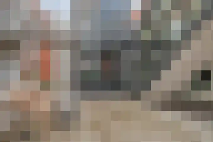 Thorbeckeplein 4 B Breda thumbnail 12