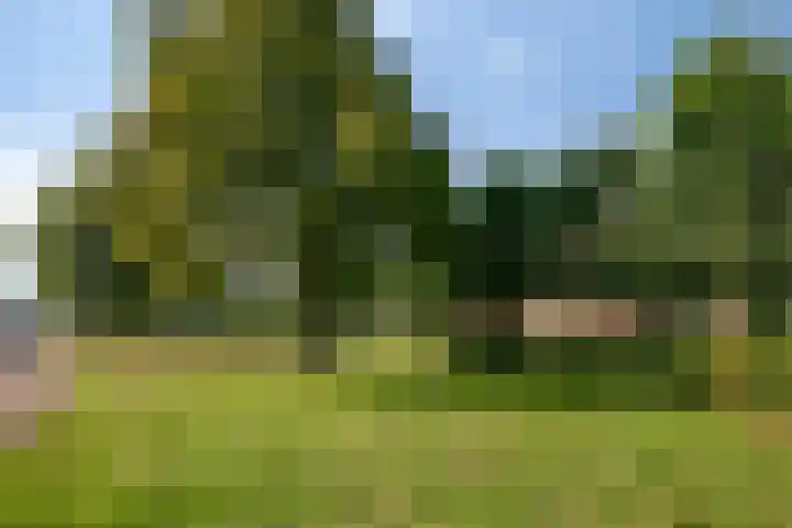 Thorbeckeplein 4 B Breda thumbnail 46