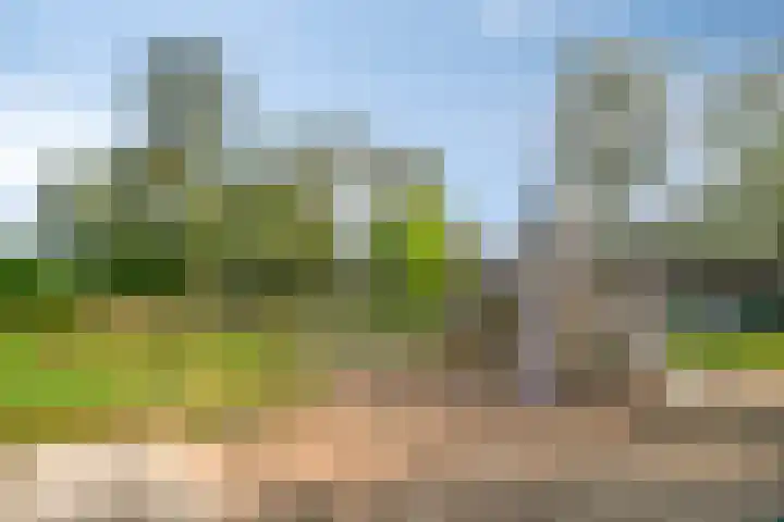 Thorbeckeplein 4 B Breda thumbnail 47