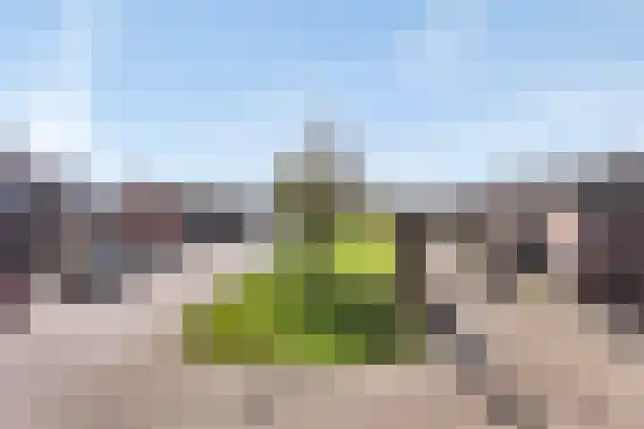Thorbeckeplein 4 D Breda thumbnail 23