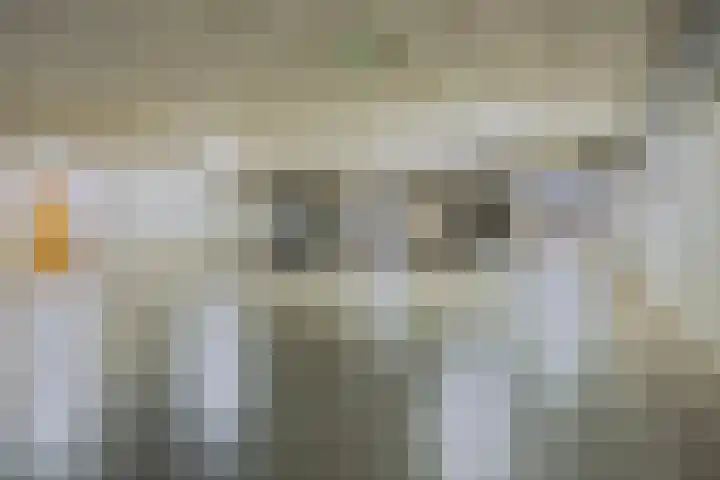 Thorbeckeplein 4 D Breda thumbnail 31