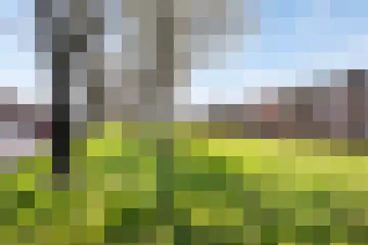 Thorbeckeplein 4 D Breda thumbnail 32