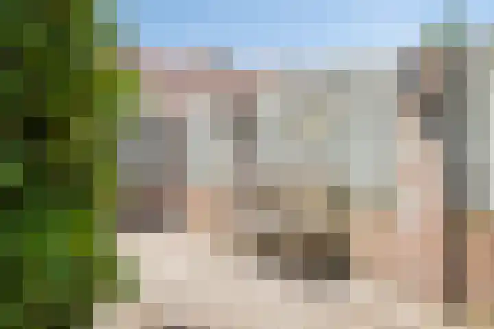 Thorbeckeplein 46 Breda thumbnail 31