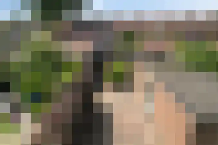 Thorbeckeplein 46 Breda thumbnail 4