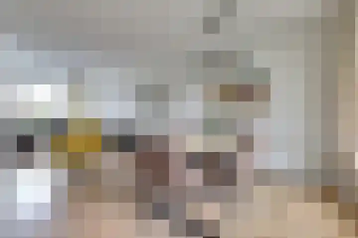 Thorbeckeplein 5 Gendt thumbnail 10