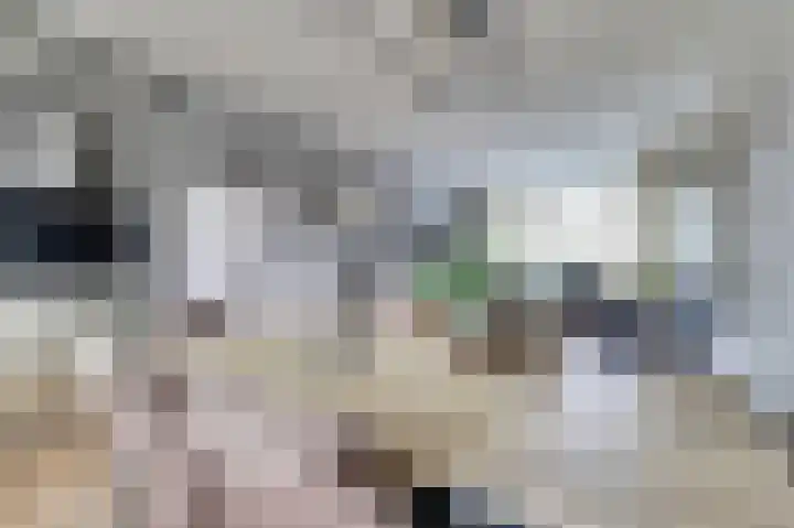 Thorbeckeplein 5 Gendt thumbnail 11