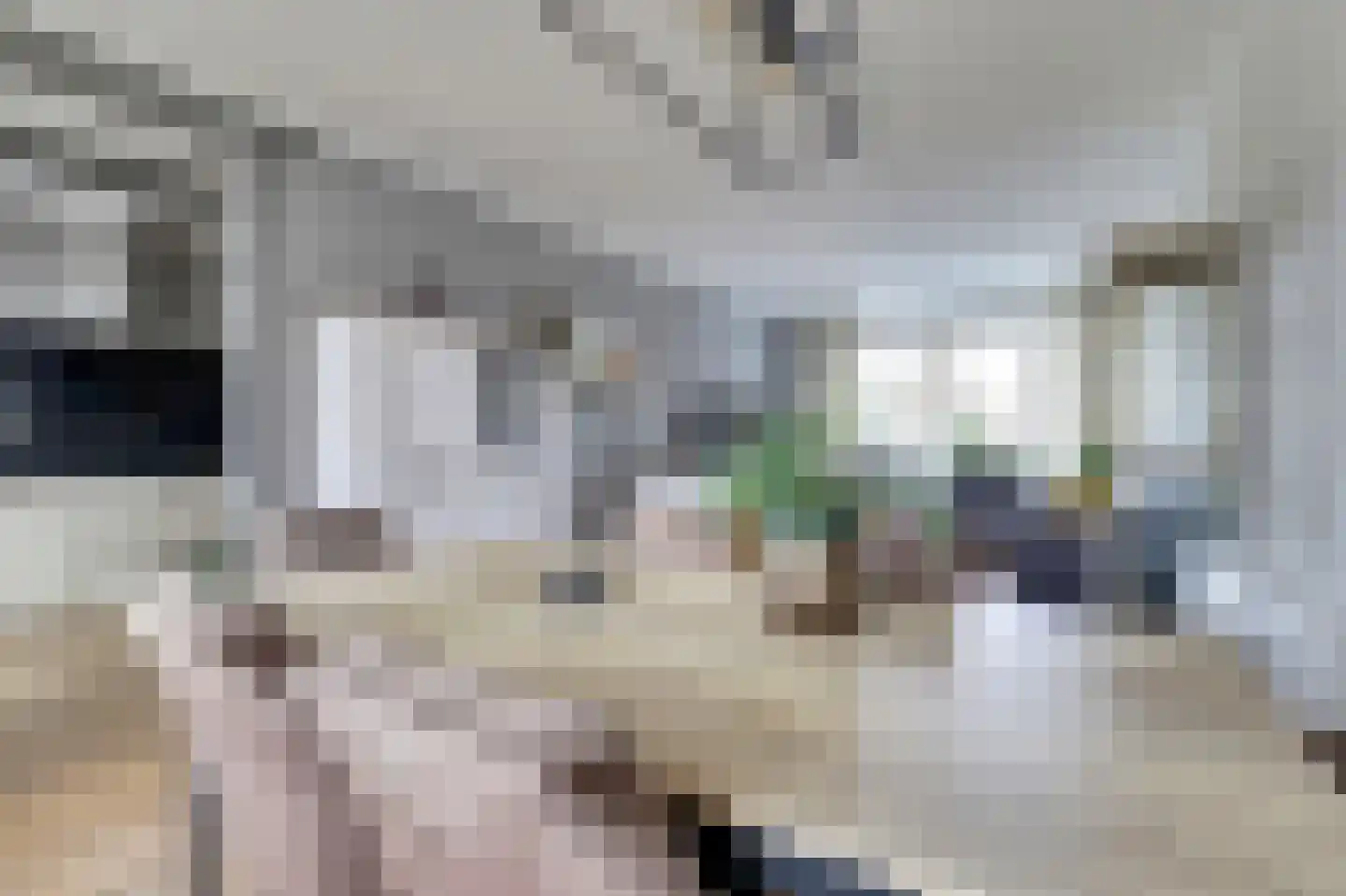 Thorbeckeplein 5 Gendt thumbnail 11