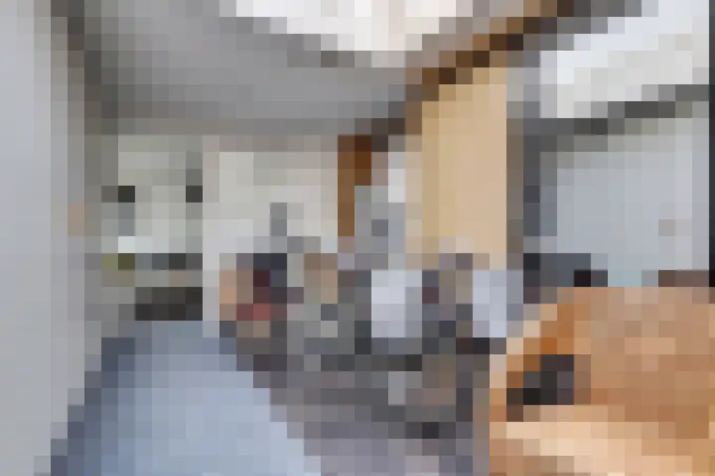 Thorbeckeplein 5 Gendt thumbnail 15