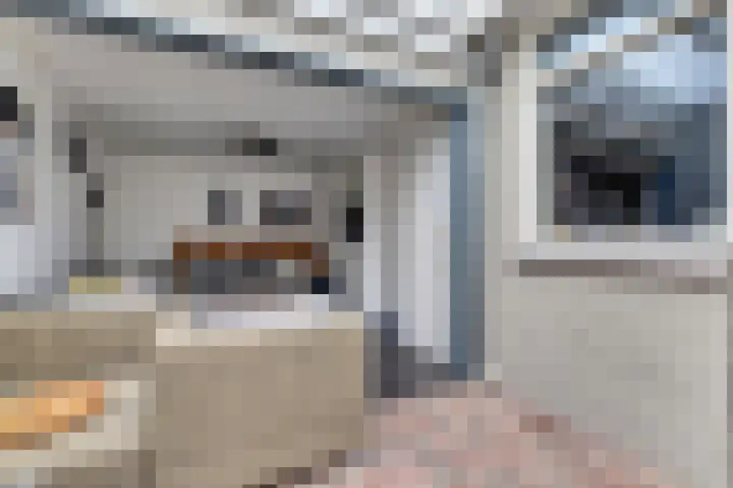 Thorbeckeplein 5 Gendt thumbnail 16