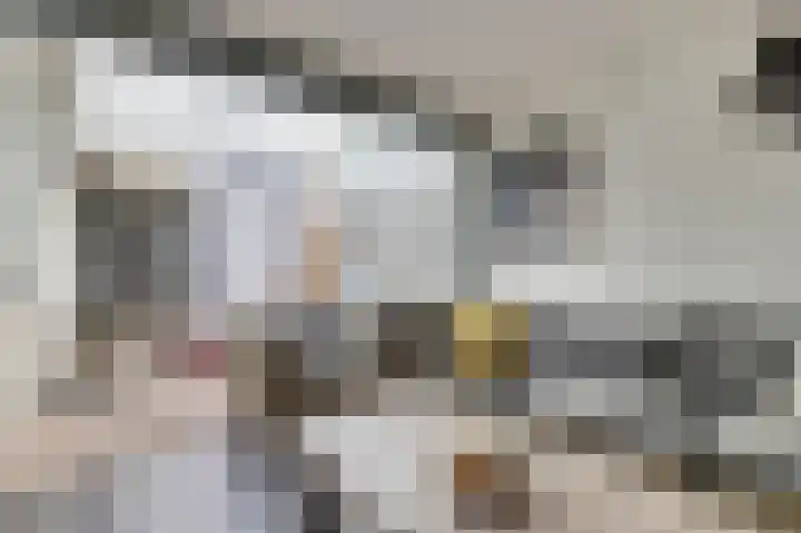 Thorbeckeplein 5 Gendt thumbnail 17