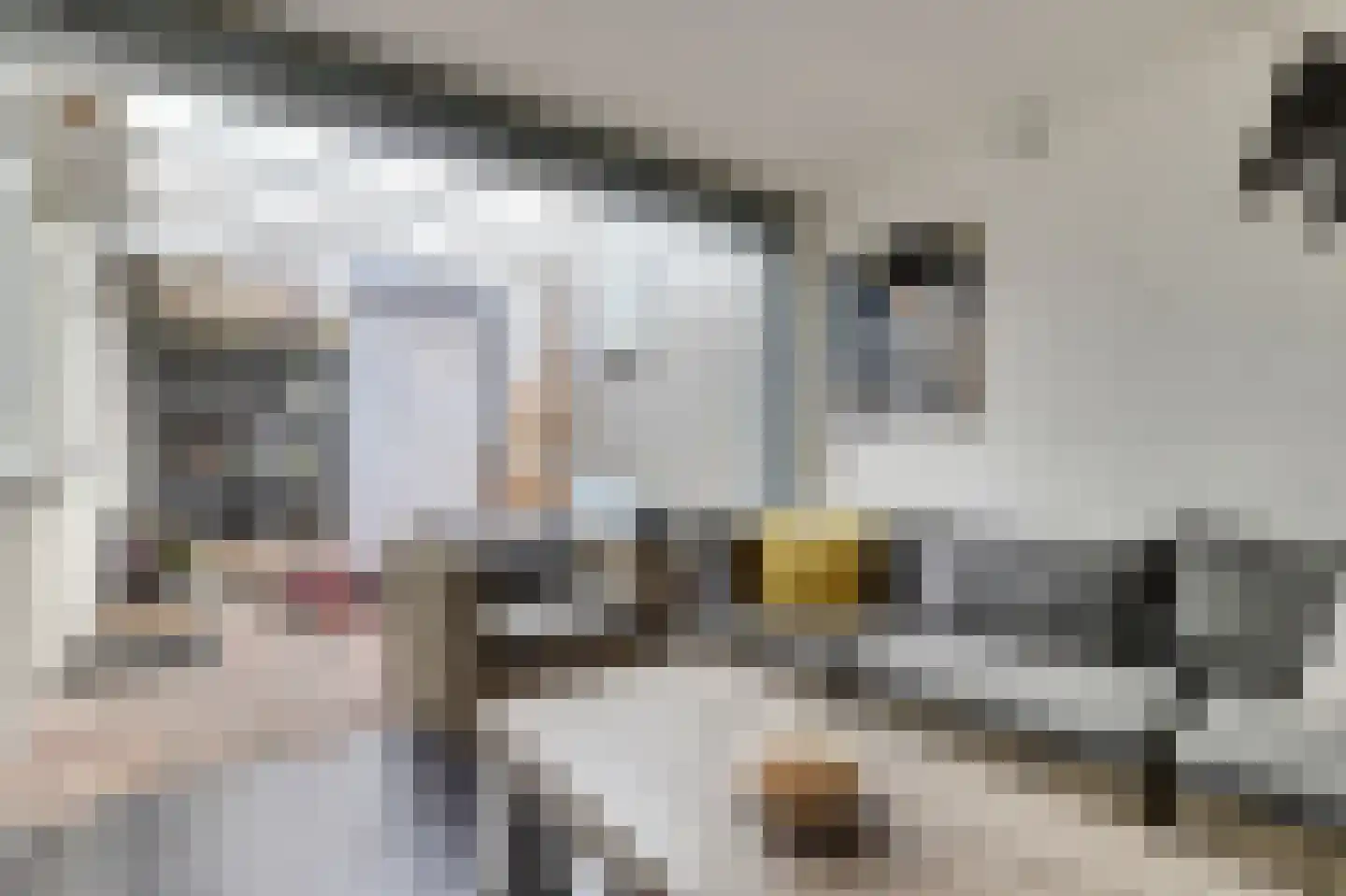 Thorbeckeplein 5 Gendt thumbnail 17
