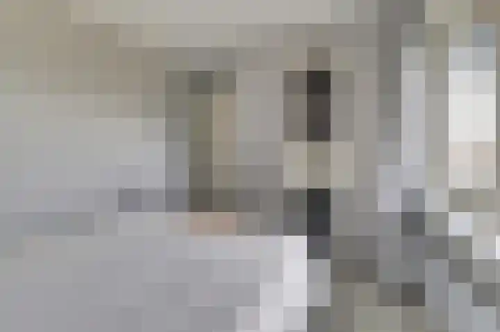 Thorbeckeplein 5 Gendt thumbnail 26