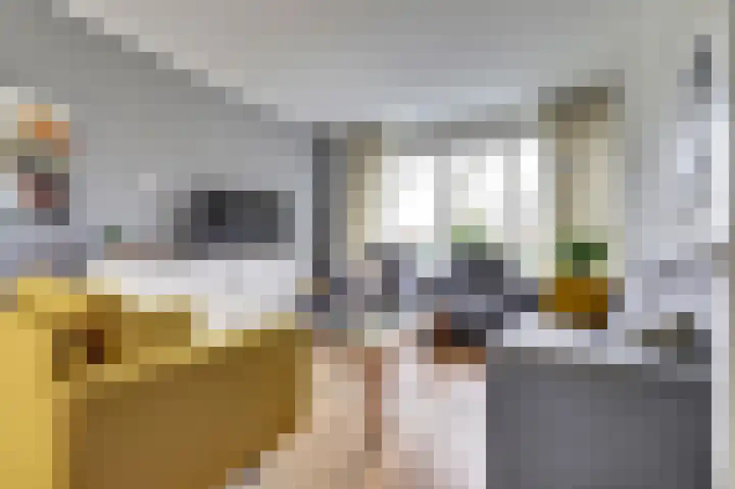 Thorbeckeplein 5 Gendt thumbnail 4