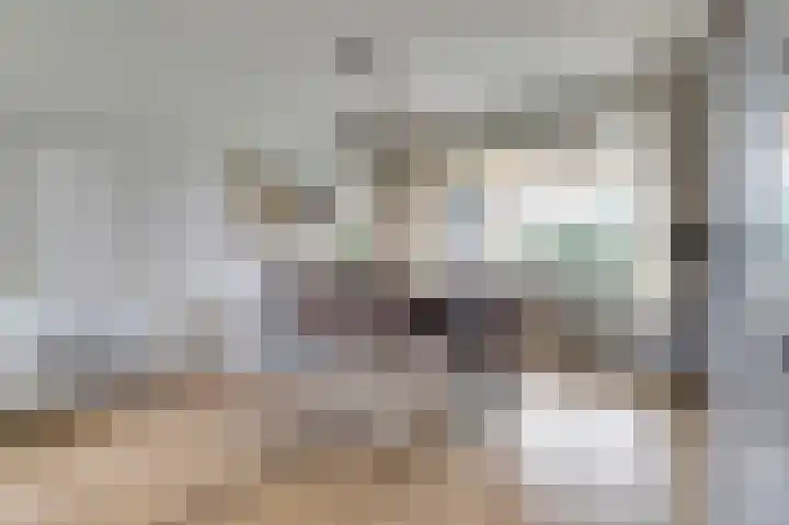 Thorbeckeplein 5 Gendt thumbnail 8