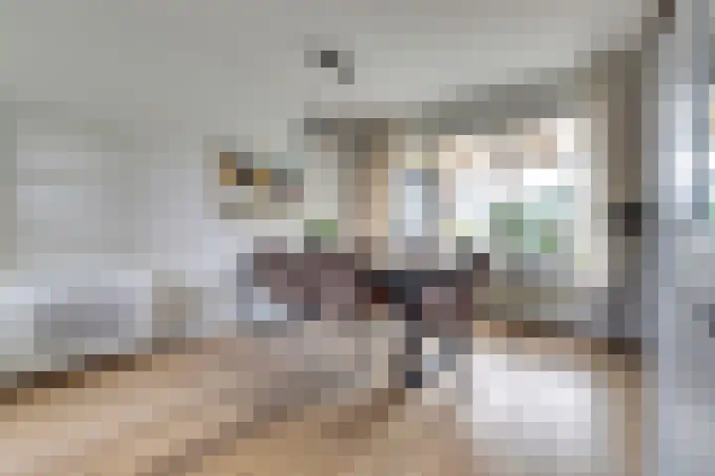 Thorbeckeplein 5 Gendt thumbnail 8