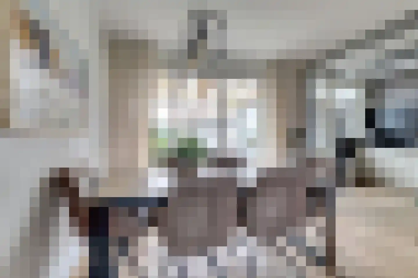 Thorbeckeplein 5 Gendt thumbnail 9