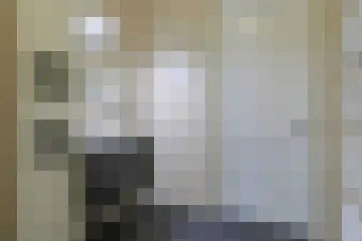 Thorbeckeplein 51 Alphen aan den Rijn thumbnail 27