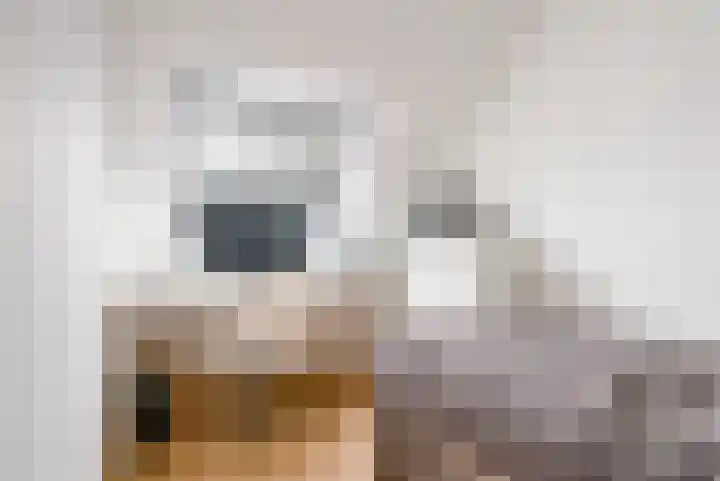 Thorbeckeplein 52 Vlijmen thumbnail 12