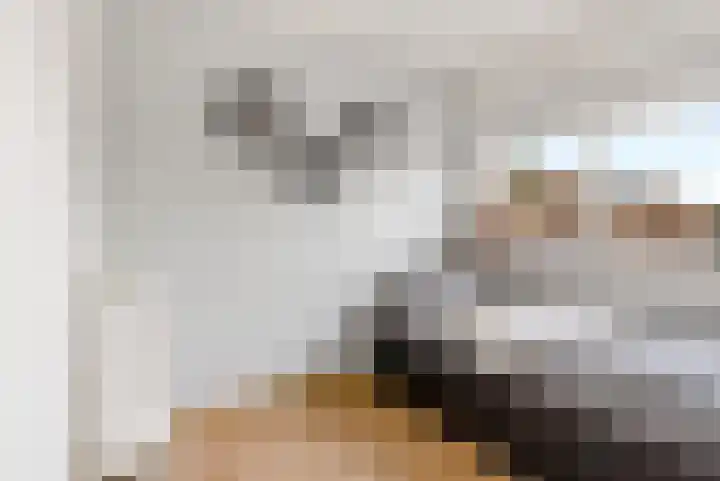 Thorbeckeplein 52 Vlijmen thumbnail 14