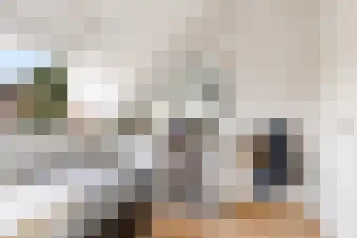 Thorbeckeplein 52 Vlijmen thumbnail 15