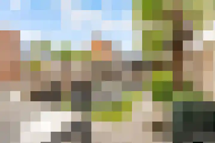 Thorbeckeplein 52 Vlijmen thumbnail 21