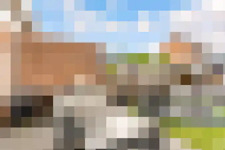 Thorbeckeplein 52 Vlijmen thumbnail 22