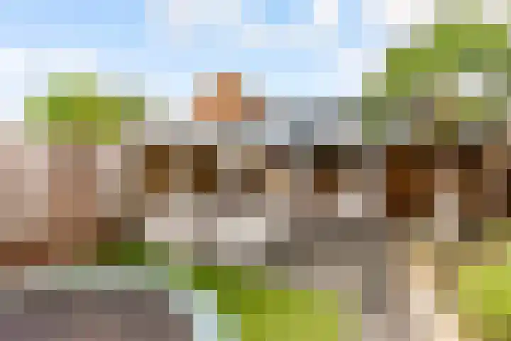 Thorbeckeplein 52 Vlijmen thumbnail 25
