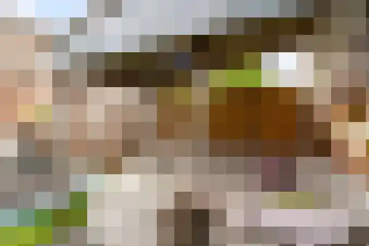 Thorbeckeplein 52 Vlijmen thumbnail 26