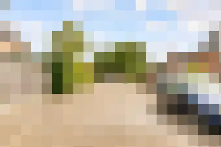 Thorbeckeplein 52 Vlijmen thumbnail 30
