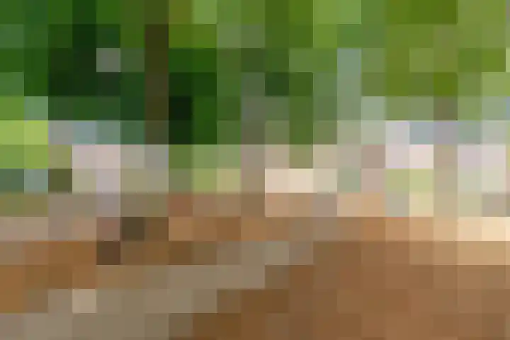 Thorbeckeplein 52 Vlijmen thumbnail 31