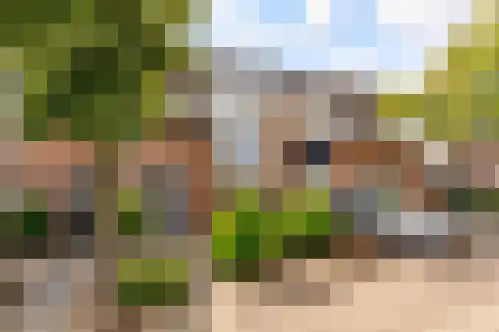Thorbeckeplein 52 Vlijmen thumbnail 36