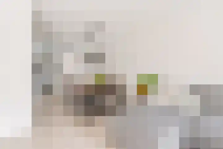 Thorbeckeplein 52 Vlijmen thumbnail 4