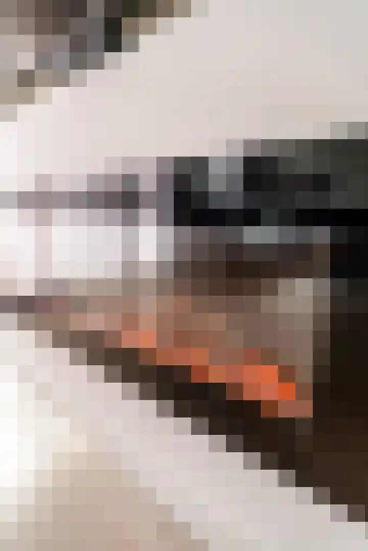 Thorbeckeplein 52 Vlijmen thumbnail 7