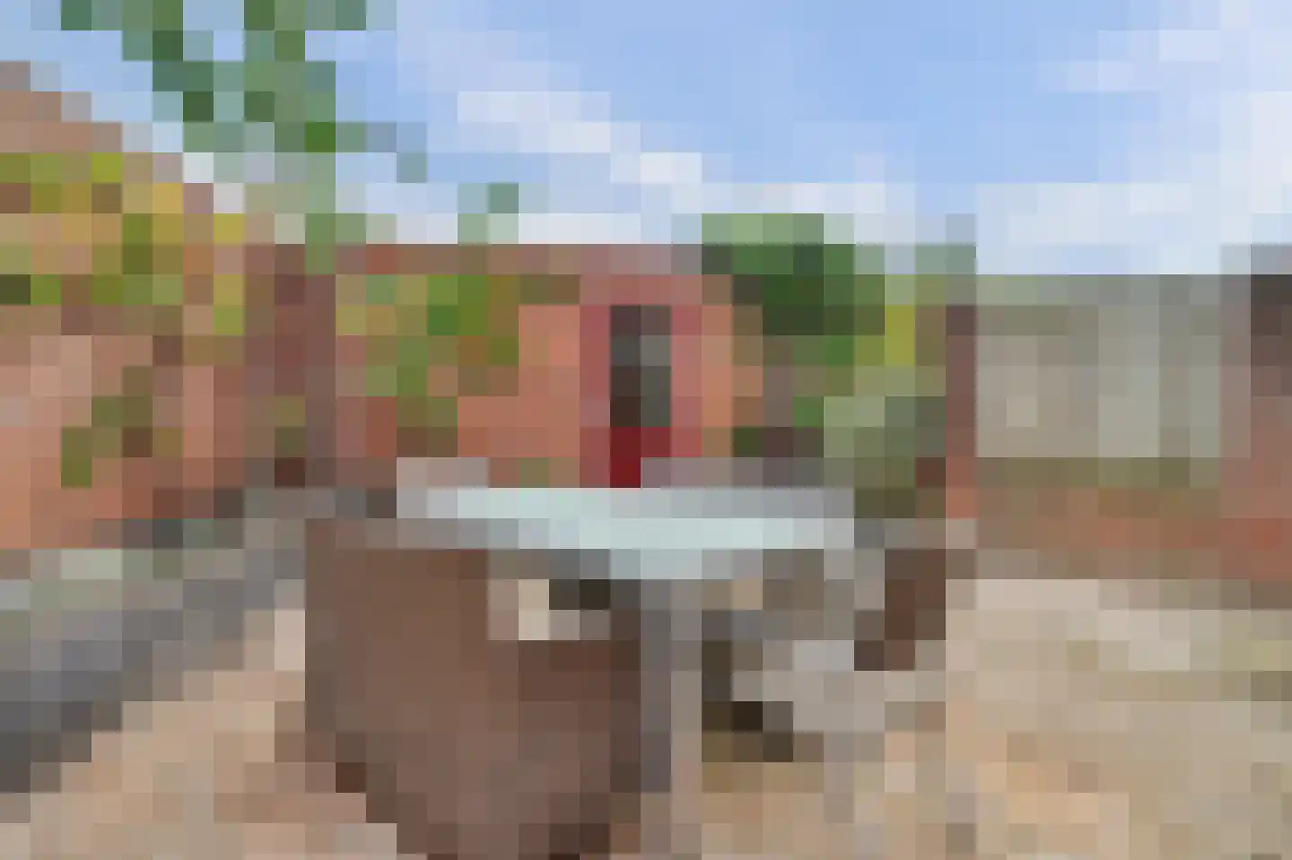 Thorbeckeplein 65 Vlijmen thumbnail 31