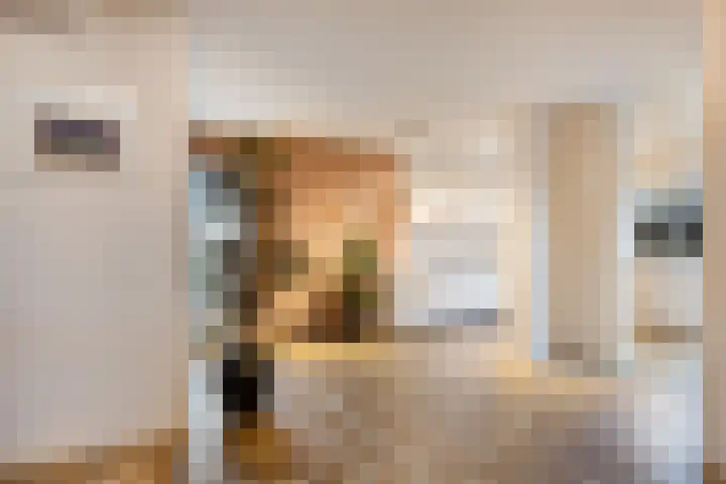 Thorbeckeplein 71 Vlijmen thumbnail 6