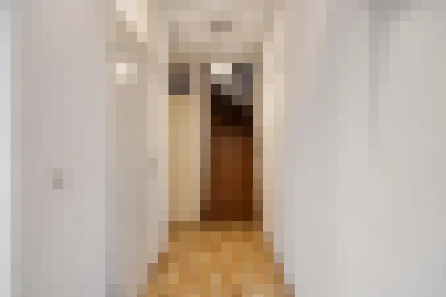 Thorbeckeplein 71 Vlijmen thumbnail 7